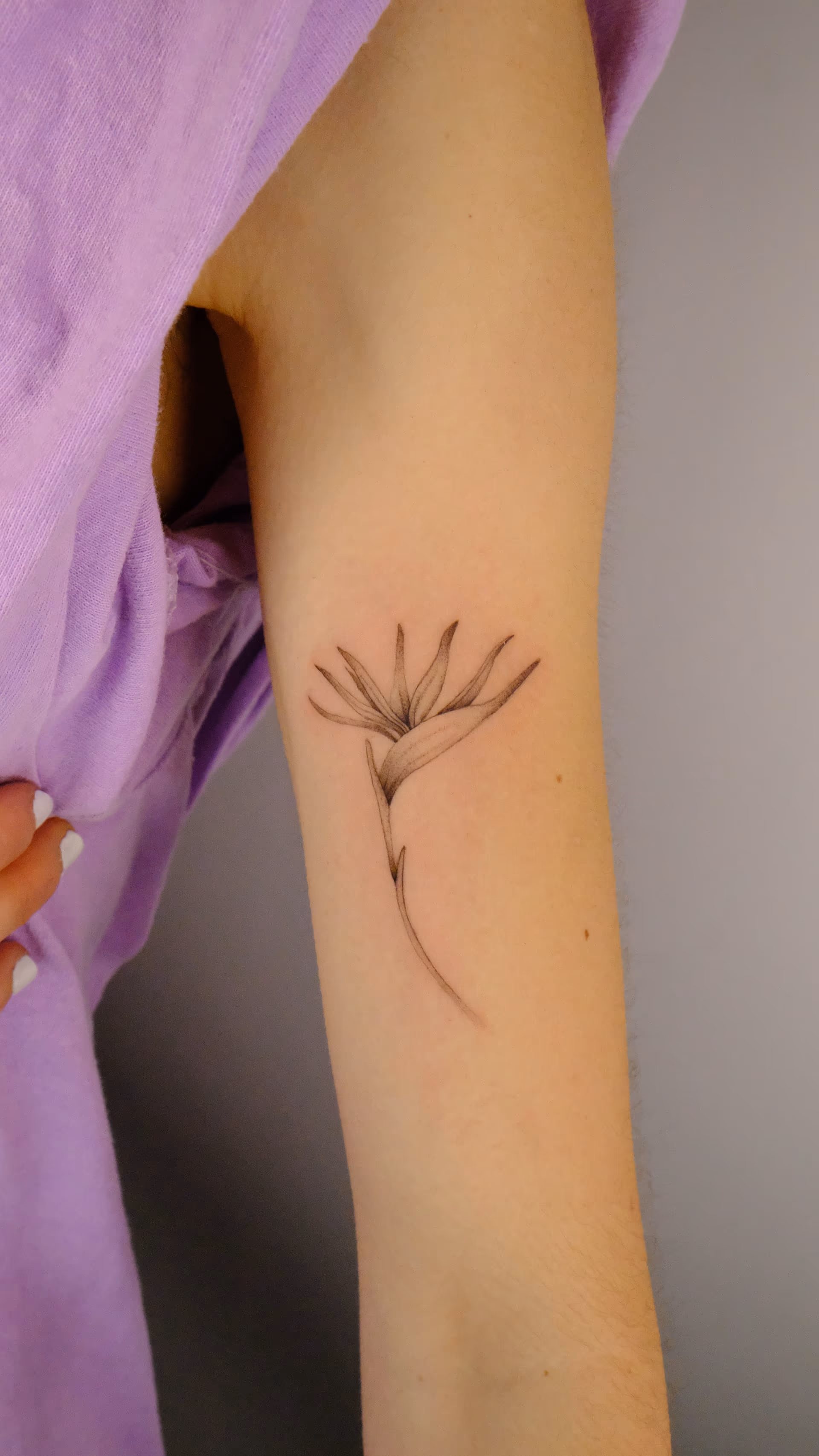 Tattoo Artist: Arte con Intención