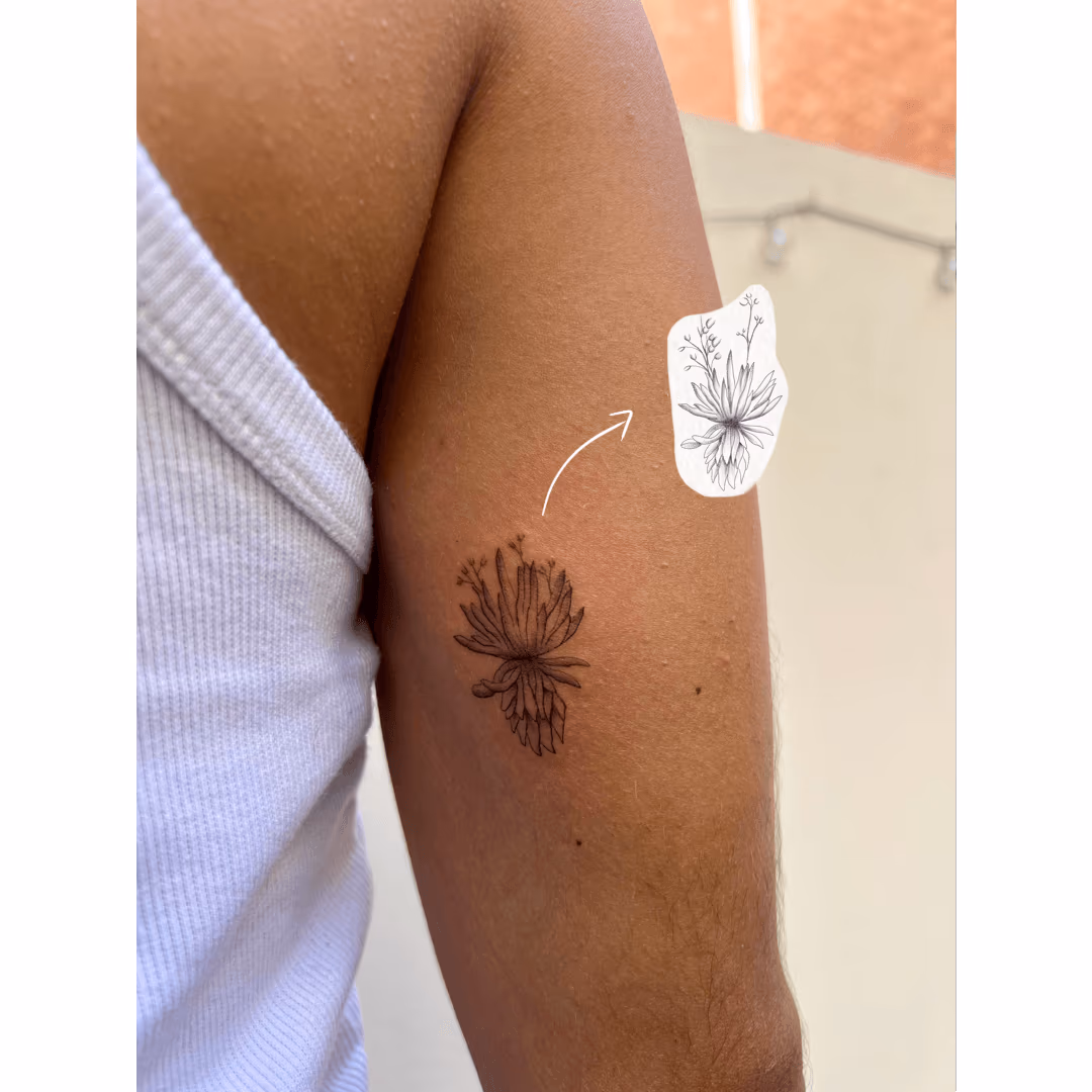 Tattoo Frailejón