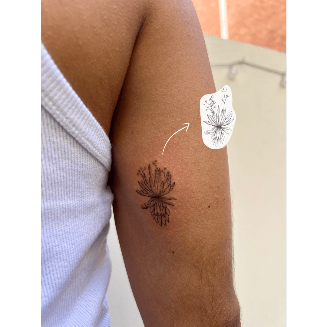 Tattoo Frailejón